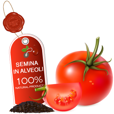  Semina in Cubetto Alveoli 